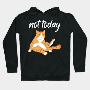 Lazy Cat Nope not Today funny sarcastic messages sayings and quotes Hoodie